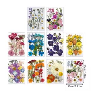 פרחים מיובשים